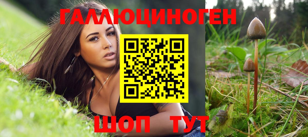Галлюциногенные грибы Psilocybe Полевской