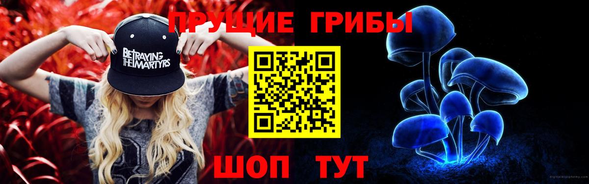 купить  сайты  Галлюциногенные грибы MAGIC MUSHROOMS  Вход с VPN  Полевской 